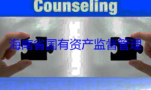 委副书记王海南省国有有福接受审资产监督管查调查理委员会党